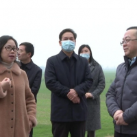 長江委、省水利廳檢查組來枝江檢查河道采砂管理工作