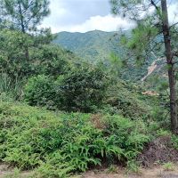 2礦同出!260萬方/年!廣東砂石大礦掛牌出讓