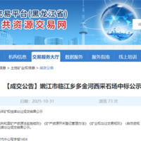 溢價率高達(dá)1839%!該地民企競得一建筑用玄武巖